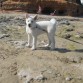 en la playa